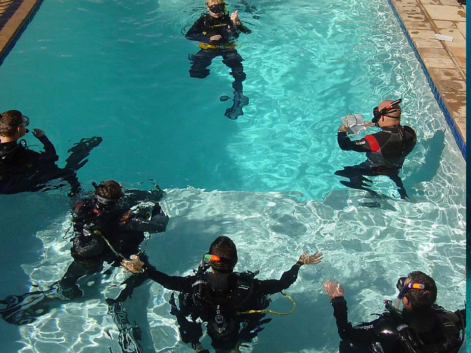 Dive School – Aliwal Dive Center & Lodge